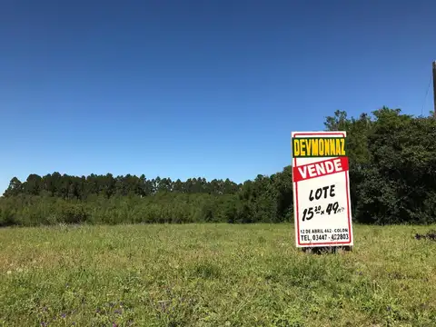 Artigas entre Favaloro y Alfonsin