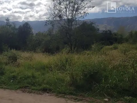 Nazario Benavidez (nuevo Merlo)