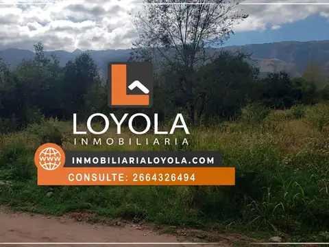 Nuevo Merlo, Lotes en pleno corazón de Merlo 