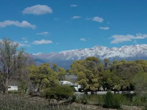 Venta Finca OrgánicaTupungato Mendoza