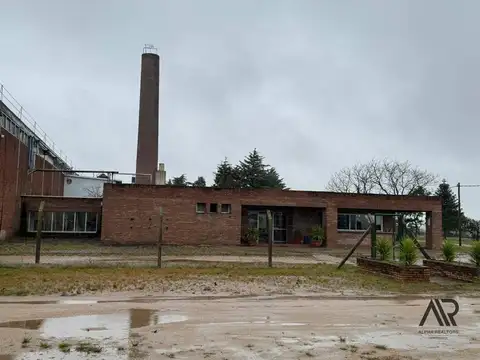 Maestro Julio Castro