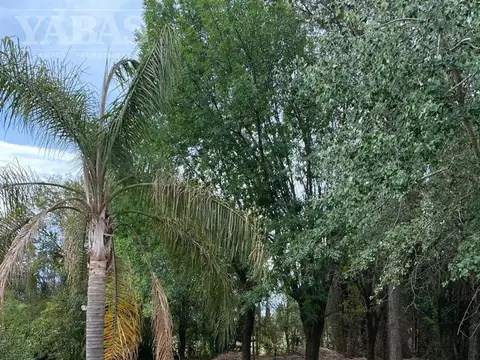 Quinta en Venta A Estrenar