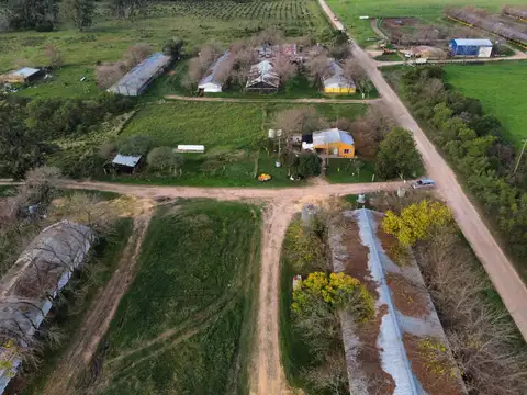 Campo en Venta de 4,50  ha
