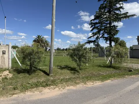 Terreno en Venta 22  mts Fondo