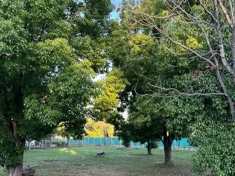 Lote  en Venta en Azzurra Tortugas, Pilar, G.B.A. Zona Norte