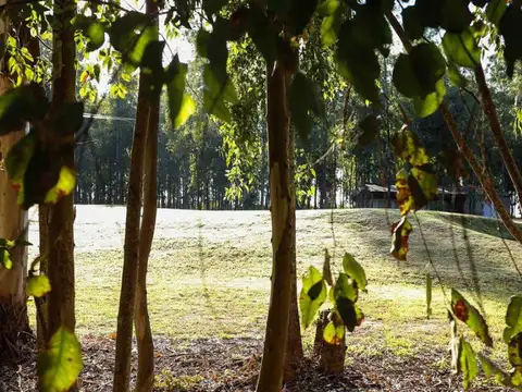 Terreno en Venta en Oliveros, USD 26.000