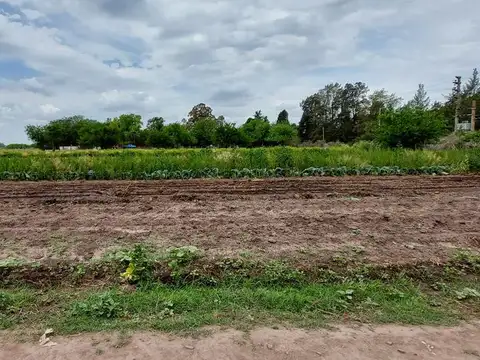 Campo de 6.5 Has. a la venta en Cañuelas sobre asfalto
