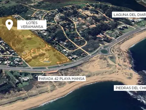 Rambla Doctor Claudio Williman