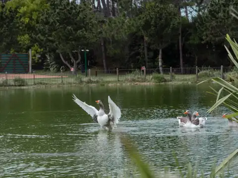 Terreno en Venta en Playa Mansa, USD 190.000