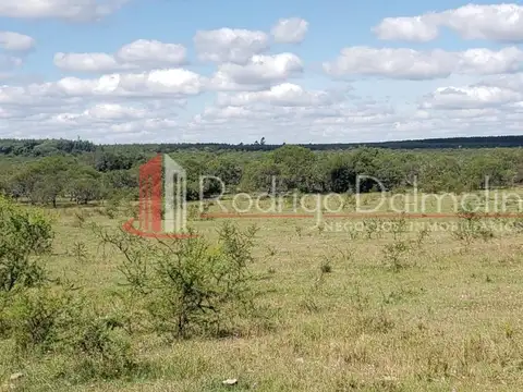 VENDO. 37 Hectáreas en Yuquerí. Concordia, ER.-