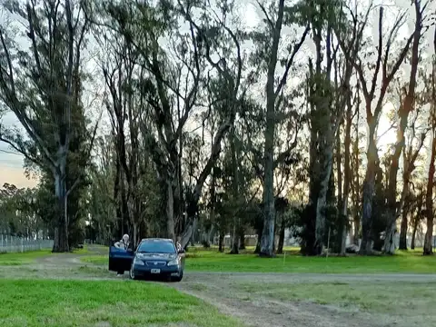 Terreno en Venta 35  mts Frente