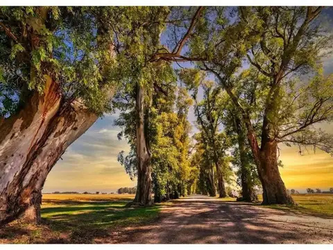 Terreno en Venta 50  mts Fondo