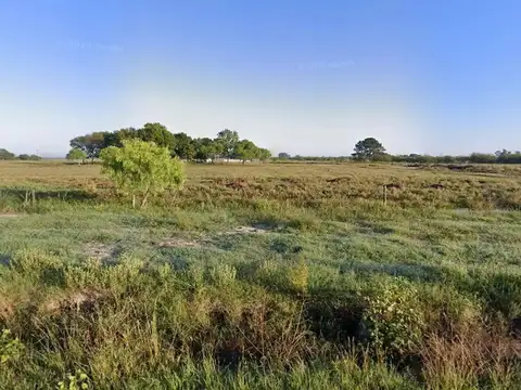 Parraviccini 1000 - Escobar