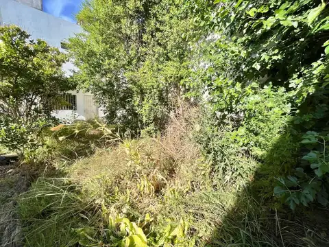 Gobernador Inocencio Arias 2900