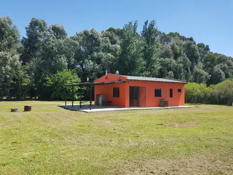 Carlos De Linneo 5800