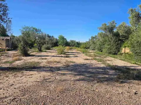 Presidente Bartolomé Mitre 2700