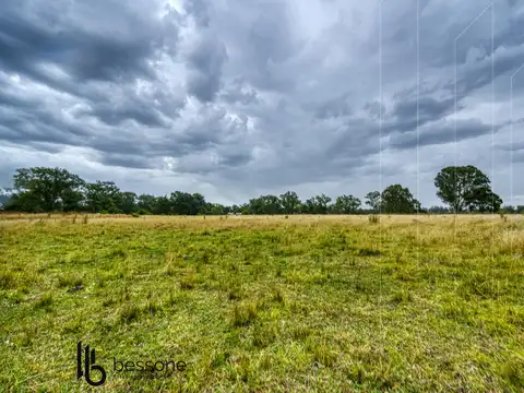 Terreno en Venta de 800,0 m2