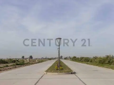 Terreno en Venta 35  mts Fondo