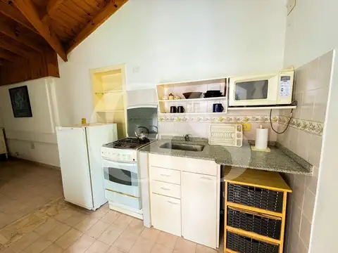 las golondrinas y las camelias 100