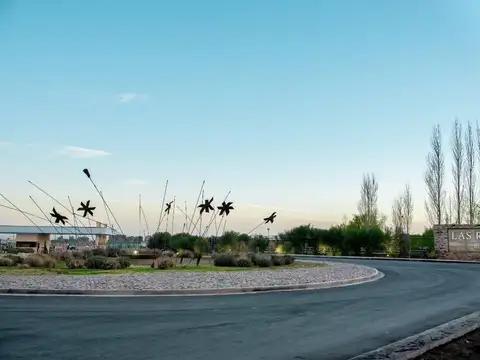 JUAN ISIDRO MAZA 700