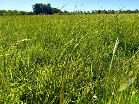 Terreno en Venta de 10391,0 m2