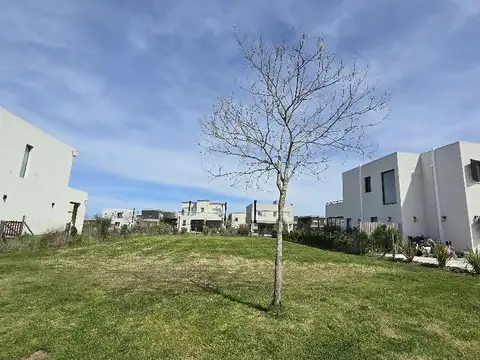 Terreno en Venta de 551,0 m2