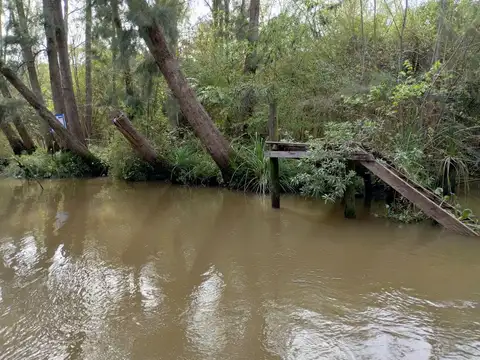 Rio / Arroyo Carapachay 100