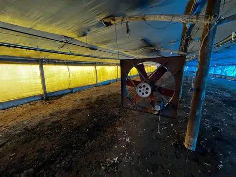 Colonia Santa Teresita