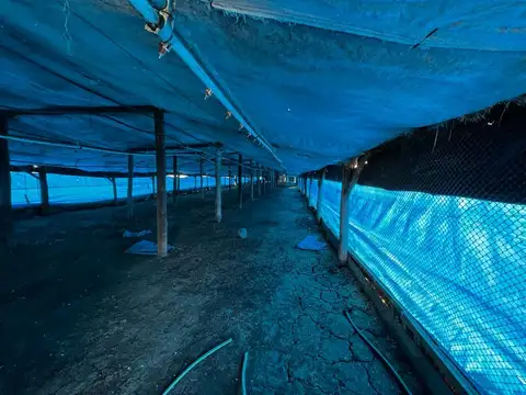 Colonia Santa Teresita