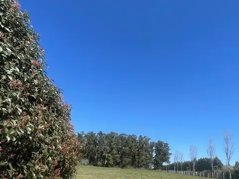 Terreno en Venta de 5795,0 m2