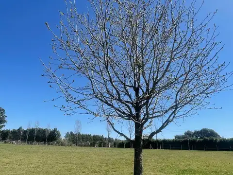 Terreno en Venta de 5795,0 m2