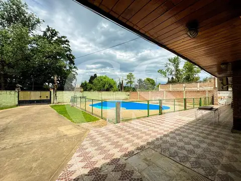 la golondrina y las camelias 100