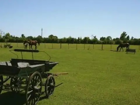 Excelente Lote En Barrio La Ranita