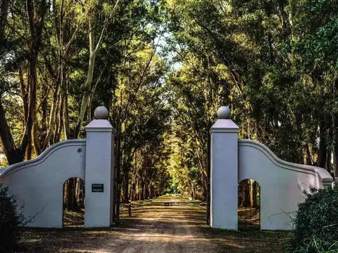 Bernardino Rivadavia