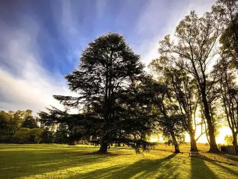 VENTA DE LOTE CHACRAS DE SAN ANDRES/LA MONTURA
