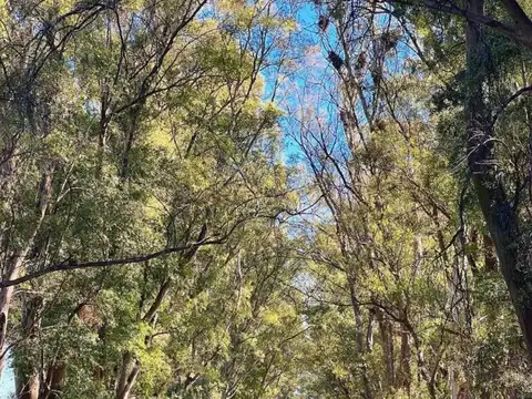 Terreno en Venta en San Andres De Giles, USD 28.500