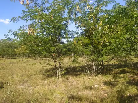 Terreno en Venta de 5000,0 m2