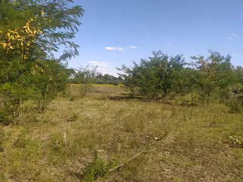 Etchegoyen y El Estribo