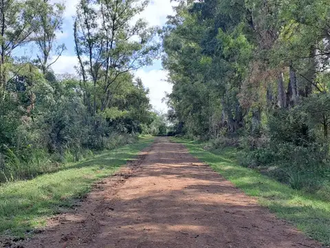 Terreno en venta - 5.000Mts2 - El Remanso, Exaltación de La Cruz