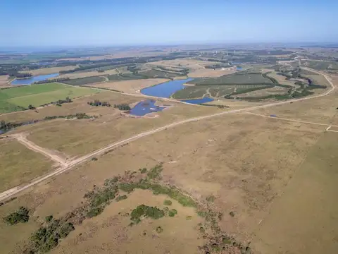 Chacra de 25 has. en Garzón 100