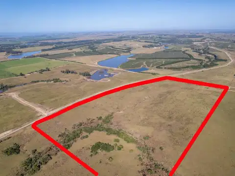 Campo en Venta de 25  ha