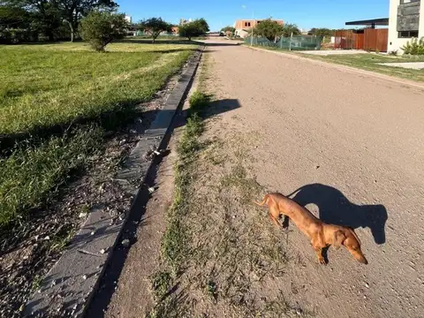 Terreno en Venta en Bela Vista, USD 45.000