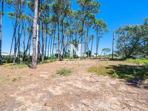 En venta terreno en Laguna Blanca, oportunidad ideal