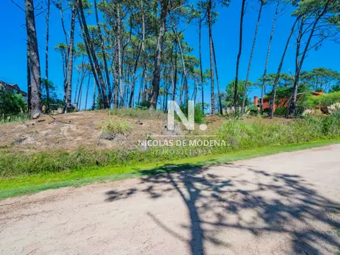 En venta terreno en Laguna Blanca, oportunidad ideal