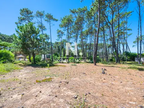 En venta terreno en Laguna Blanca, oportunidad ideal