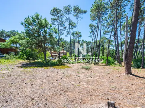 Terreno en Venta de 2580,0 m2