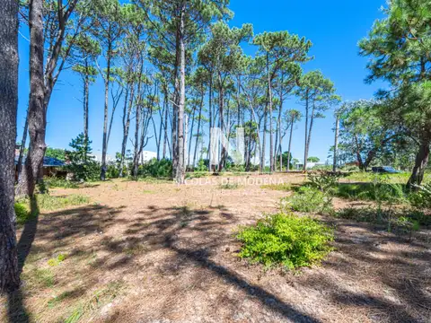 Terreno en Venta en La Barra, USD 650.000