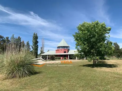 Terreno en Venta 40  mts Fondo