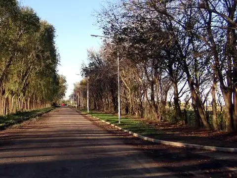 Estancia las Moras - Ricardone