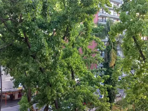 Falucho 2100, Piso 4